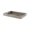 Triton Rect Tray |Smoke-L -France and Son Store 11681 lg