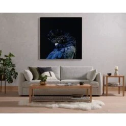 Red-Tailed Black Cockatoo By Getty Images -France and Son Store 231576 001 VIG 1