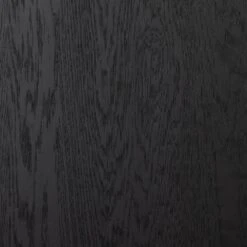 Veneto Double Cabinet - Drifted Matte Black -France and Son Store 232216 001 DET 2