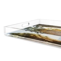 Desert Springs Riders Tray By Slim Aarons -France and Son Store 238132 001 DET 2