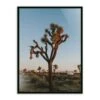 Camp Sunrise/Joshua Tree By Wesley And Emma Teague - 40"X60" - Black Maple - Framed Metal 2 Camp Sunrise/Joshua Tree By Wesley And Emma Teague - 40"X60" - Black Maple - Framed Metal -France and Son Store 244731 002 PRM 1
