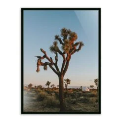 Camp Sunrise/Joshua Tree By Wesley And Emma Teague - 40"X60" - Black Maple - Framed Metal
