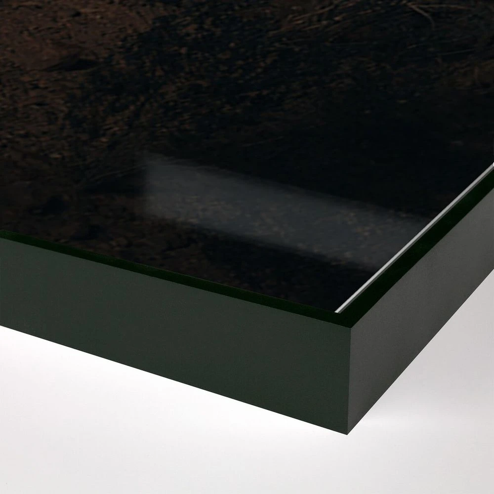 Ocotillo Ii By Mandy Steinback - 40.25"X60" - Black Maple - Framed Metal 4 Ocotillo Ii By Mandy Steinback - 40.25"X60" - Black Maple - Framed Metal - Image 2