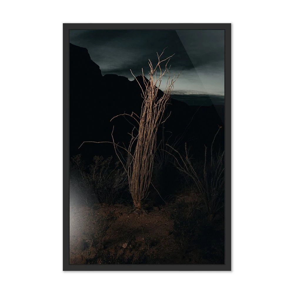 Ocotillo Ii By Mandy Steinback - 40.25"X60" - Black Maple - Framed Metal 3 Ocotillo Ii By Mandy Steinback - 40.25"X60" - Black Maple - Framed Metal