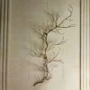 Twig Wall Art -Brass