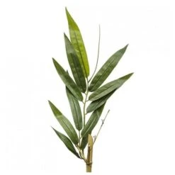 Bamboo Tree -France and Son Store 50443 silo 1 656x635 128bd6aa ef4c 4acd b123 4b379ad66796