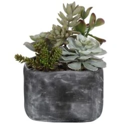 Alverio Desert Garden Succulents -France and Son Store 60173 2 dedce1f4 3a4c 4951 bab1 e09505be530d