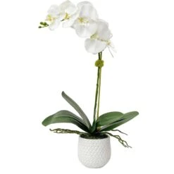 Cami Orchid -France and Son Store 60178 2