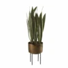 Fasita Brass Planter 2 Cartons -France and Son Store 60185