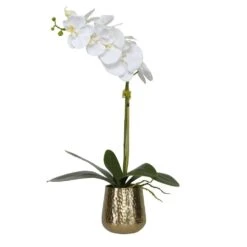 Cami Orchid -France and Son Store 60189 2