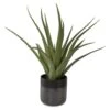 Tucson Aloe Planter -France and Son Store 60204 2