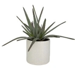 Taos Aloe Centerpiece -France and Son Store 60210 3