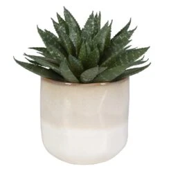 Doha Succulent Accent -France and Son Store 60213 3