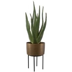 Arabia Aloe Planter -France and Son Store 60217 3