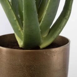 Arabia Aloe Planter -France and Son Store 60217 4