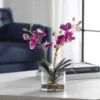 Glory Fuchsia Orchid -France and Son Store 60220