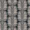 Betty Palms Wallpaper -France and Son Store BettyPalms Blackblush