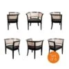 Aimee Cane Dining Armchair - Set Of 6 -France and Son Store FL1337BLKsetof6copy