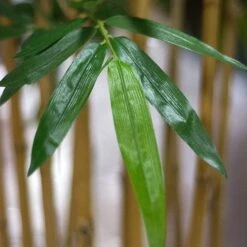 Bamboo Tree -France and Son Store HY1595 BL Detail2 635x635 a469e105 6f6b 4a6e a31c 8673d76d38da