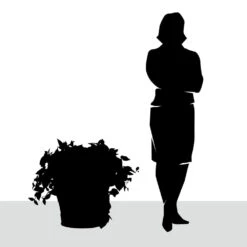 Wandering Dude & Philodendron In Pomeii Planter - LG -France and Son Store HY2087 26 detail3 1500x1500 f8b55fb7 3370 40a5 b992 a1e643f31042