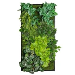 Green Wall - Photos Mix