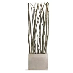Alder Poles In Urbano Rectangle Planter - Small