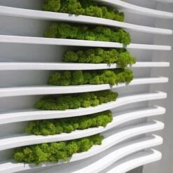 Drift Wall Art With Moss -France and Son Store HY7842 Green Wall Drift detail4 635x635 175a8f71 65f4 44bc bd2b 81c54162b61e