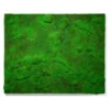 Green Wall, 'New Moss W/Textur 1 Green Wall, 'New Moss W/Textur -France and Son Store HY8546 64 635x635 8316a975 675d 4cc6 8aa1 a46244bfc76c