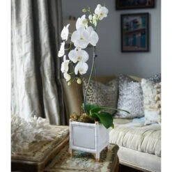 Bamboo Cachepot, White/Gold, Small Set Of 2 -France and Son Store JB2 5938 c2b4fe52 d308 4f6e 88a2 16d7ba9662e0