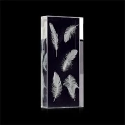 Enclosed Crystal Feathers