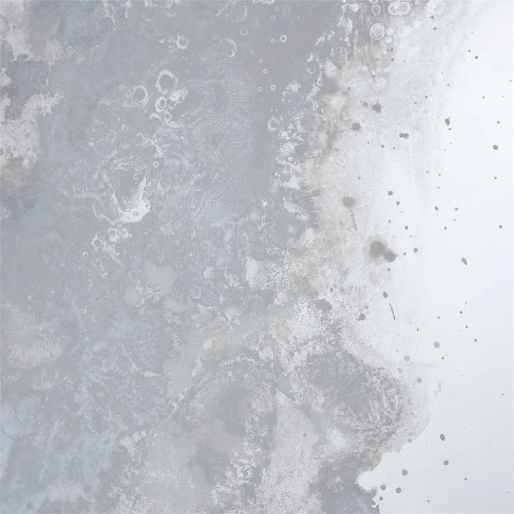 Marne Mirror Panels (Set Of Four) - Mirror,Silver 6 Marne Mirror Panels (Set Of Four) - Mirror,Silver - Image 4