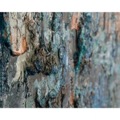 Lin Qing's Mineral - Multicolor -France and Son Store JRO 2878 3