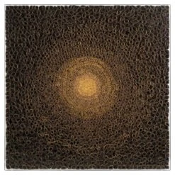 Tony Fey's Cosmic Radiance