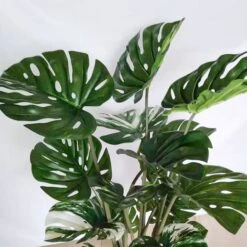 Monstera In Urbano Flared - Large -France and Son Store PB3058 48 2 635x635 c6533539 f4c8 4e25 8d98 1b1024b0fa32