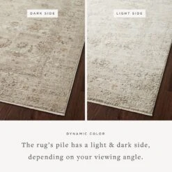Loloi Sonnet Sand / Taupe 5' X 7'-10" Area Rug 7 Loloi Sonnet Sand / Taupe 5' X 7'-10" Area Rug -France and Son Store SONNSNN 01SATA 14 85310bf3 ab1d 4b08 b516 218a2a67e63c
