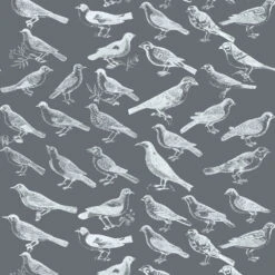 Tweeter Wallpaper -France and Son Store Tweeter 3PS 808dbd69 d2e6 4841 a636 da664e69f487