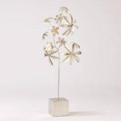 Dieffenbachia Plant-Silver Leaf