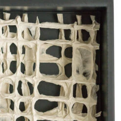 Shadow Box Rectangle W/Paper -France and Son Store art2983 48 alt1 635x635 cc2ec07f bdcf 45c1 851b ebc2d116a096