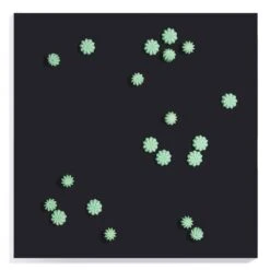 Substrate Wall Play - 36"SQ