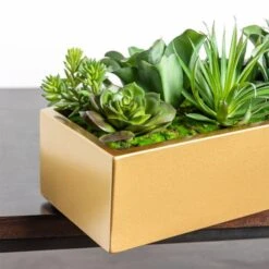 Desert Echeveria In Rectangle Planter -France and Son Store custom gold planter succulent mix alt3 635x635 b1b07c17 9820 4de3 9b16 fabfbe2eb1a4