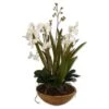 Moth Orchid Planter -France and Son Store e3e77d4b774459f28e172479cfcd9835