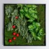 Green Wall, Mix W/ Fig Wall Play™ -France and Son Store h9497 r 635x635 e13a3f3b cb7f 4288 b5ec 157f2a916c9e