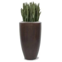 Sansevieria Barrel Plant -France and Son Store hy1500 lg 1500x1500 f91bacba b2f2 4d56 b5fa 67fb99270871