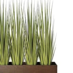 Century Grass In Rectangle Planter
