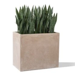 Sansevieria In Urbano Rectangle Planter 8 Sansevieria In Urbano Rectangle Planter -France and Son Store hy8304 silo 1 635x635 73974786 3acf 4226 8d48 176bef4041a8