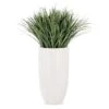 Liriope Grass In Linea Planter