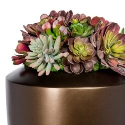 Burgundy Succulent Mix In Barrel Planter -France and Son Store hy8615 2022 1 635x635 c8e12763 1009 445a 8012 fa41c8c3f4bf