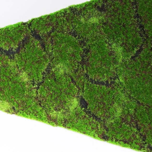 Green Wall, Triangle - Set Of 2 5 Green Wall, Triangle - Set Of 2 - Image 3