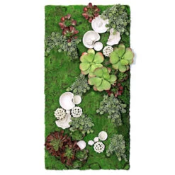 Green Wall, Succulent W/ Wall Play™ -France and Son Store hy9463 2 REV5 635x635 a1bb24a8 77ea 46d8 8f03 37717a222997