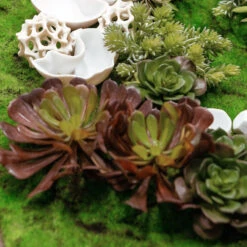 Green Wall, Succulent W/ Wall Play™ -France and Son Store hy9463 detail1 2 REV5 635x635 20532980 f147 43cf 9d54 0bb6fff71e9e